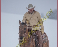 SEMSALES - 0236